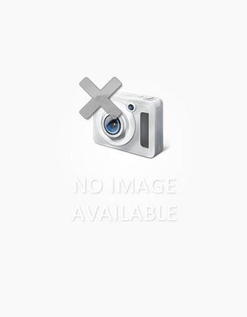 Microsoft 365 Volume Licensed from Microsoft No Telemetry Debloated {RARBG} Quick Setup Script